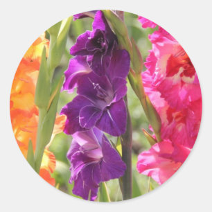 Schöne Gladiolus-Blüte Runder Aufkleber