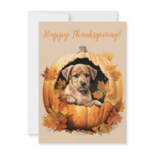 Schöne, glückliche und würdige Welpenwelpen Wasser