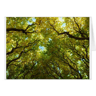 Schöne Goldbaumkarte