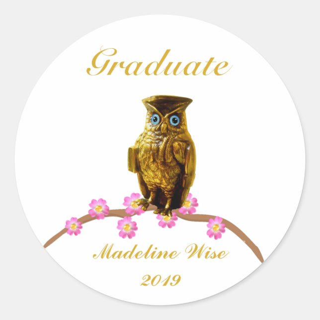 Schöne Golden Owl Graduate Sticker (Vorderseite)