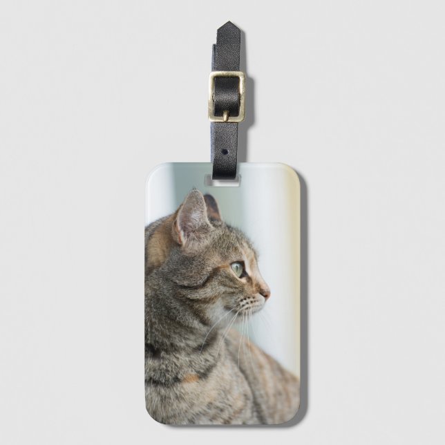 Schöne graue Katze Gepäckanhänger (Vorderseite Vertikal)
