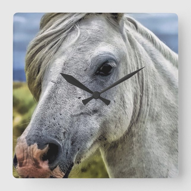 Schöne graue Pferdeuhr Quadratische Wanduhr (Vorderseite)
