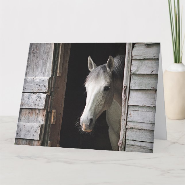 Schöne graue Stute großes Pferd  Karte (Vorderseite)