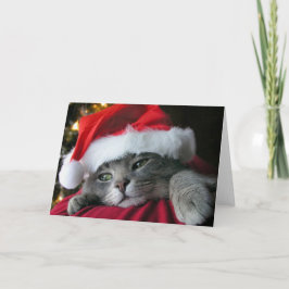 Schöne graue WeihnachtsMiezekatzekatze Feiertagskarte