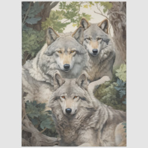 Schöne Graue Wolfpack im Wald Decoupage Seidenpapier