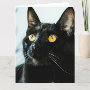 schöne große leere Grußkarte der schwarzen Katze Karte
