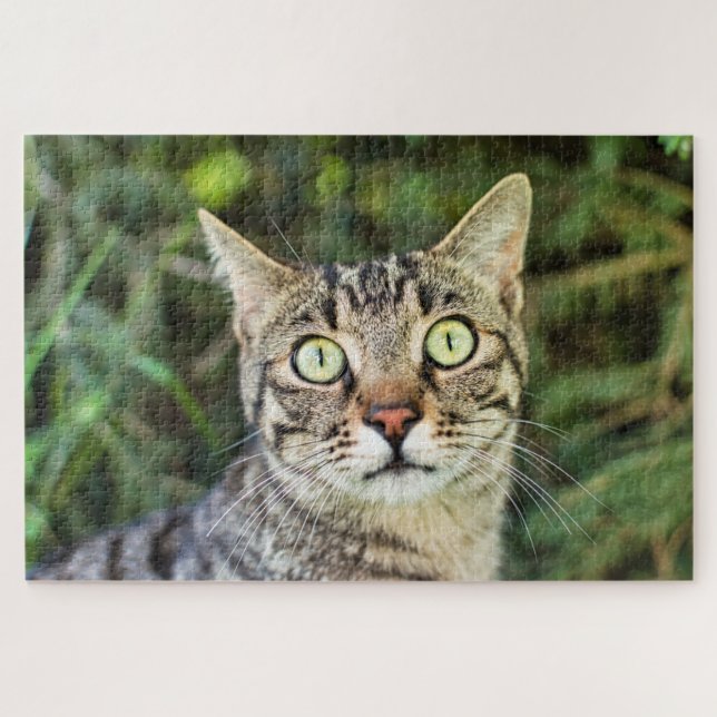 Schöne grün-mit Augen Tabby-Katze nah-up Puzzle (Horizontal)