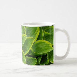 Schöne grüne Pflanze Kaffeetasse