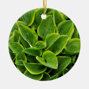 Schöne grüne Pflanze Keramik Ornament