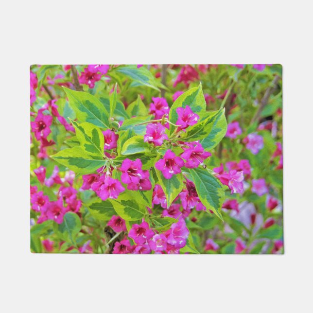 Schöne Grüne Weigela mit Crimson-Blume Fußmatte (Vorderseite)
