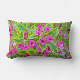Schöne Grüne Weigela mit Crimson-Blume Lendenkissen