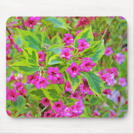 Schöne Grüne Weigela mit Crimson-Blume Mousepad
