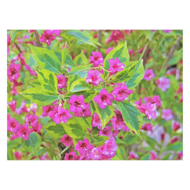 Schöne Grüne Weigela mit Crimson-Blume Tischdecke (Vorderseite (Horizontal))
