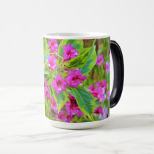 Schöne Grüne Weigela mit Crimson-Blume