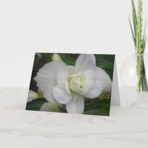 Schöne Grußkarte für die weiße Carnation Karte