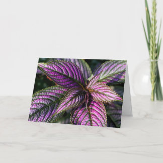 Schöne Grußkarte Karte