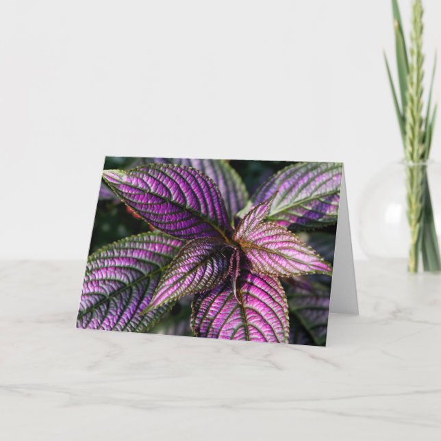 Schöne Grußkarte Karte (Vorderseite)