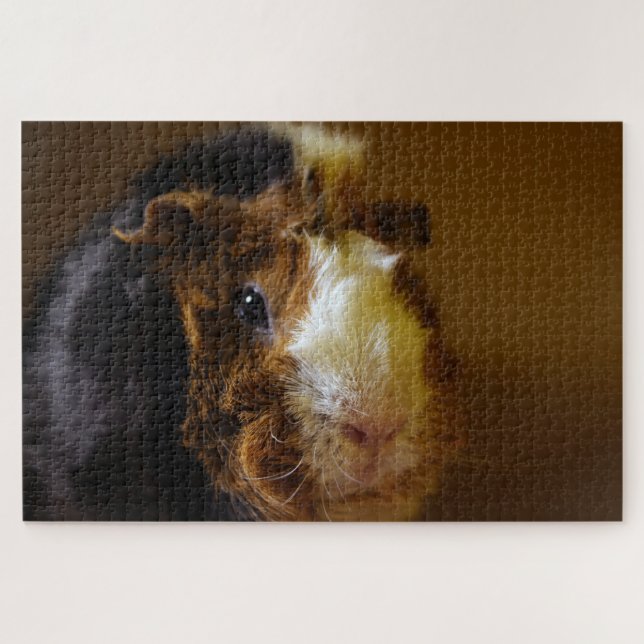 Schöne Guinea Pig, Jigsaw Puzzle (Horizontal)