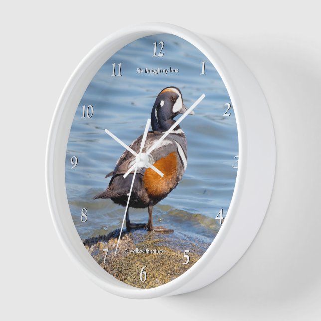 Schöne Harlequin Duck on Beach Shoes Uhr (Winkel)