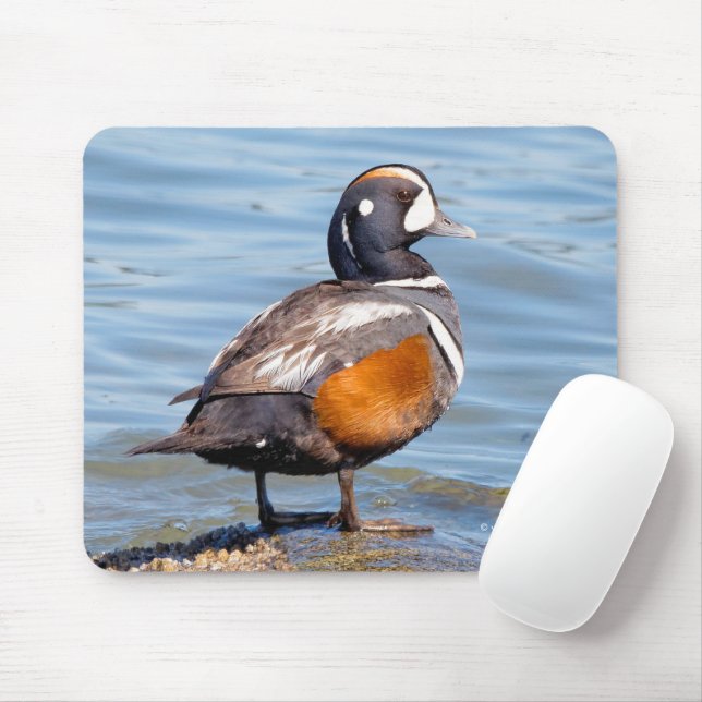 Schöne Harlequin-Ente am Felsen Mousepad (Mit Mouse)