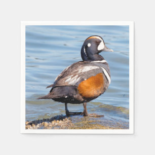 Schöne Harlequin-Ente am Felsen Serviette