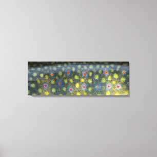 Schöne Haut, Fluss Jordan Brookie " Leinwanddruck