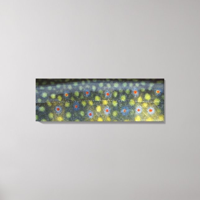 Schöne Haut, Jordan Brookie" Leinwanddruck (Vorderseite)