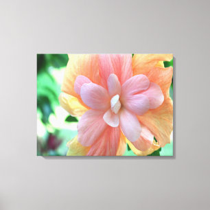 Schöne hawaiianische Hibiskus Blume Canvas Print Leinwanddruck
