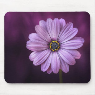 Schöne, helle, elegante, rosa lila Einrichtung Mousepad