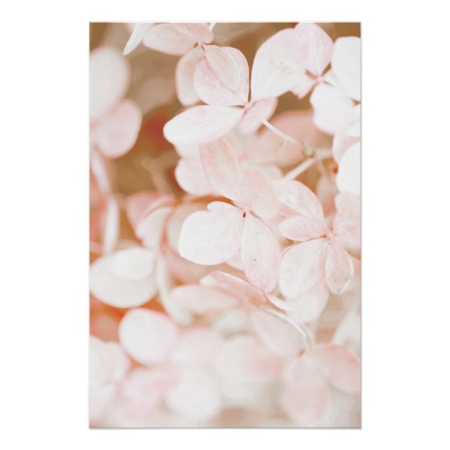 Schöne hellrosa Blume Blossom Blumenstrauß Poster (Vorderseite)