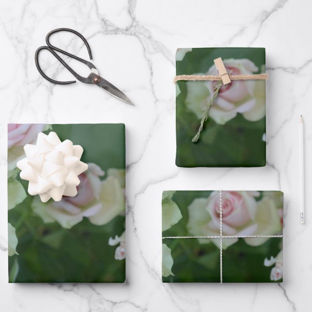 Schöne hellrosa Rose Geschenkpapier Set (Vorderseite)