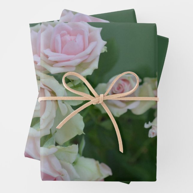 Schöne hellrosa Rose Geschenkpapier Set (Beispiel)