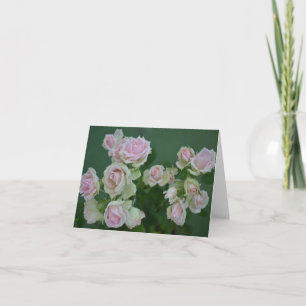 Schöne hellrosa Rose Karte