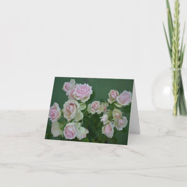 Schöne hellrosa Rose Karte (Vorderseite)