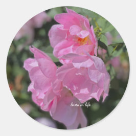 Schöne hellrosa Rose Runder Aufkleber