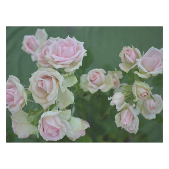 Schöne hellrosa Rose Tischdecke (Vorderseite (Horizontal))