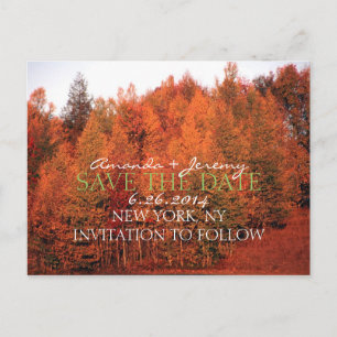 Schöne Herbstbäume Save the Date Ankündigungspostkarte