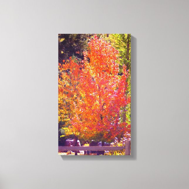 Schöne Herbstfarben 2 Leinwanddruck (Vorderseite)