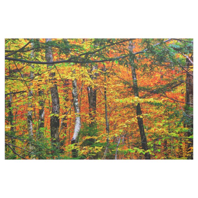 Schöne Herbstfarben im Gewebe Stoff (Yard (91,4 cm))