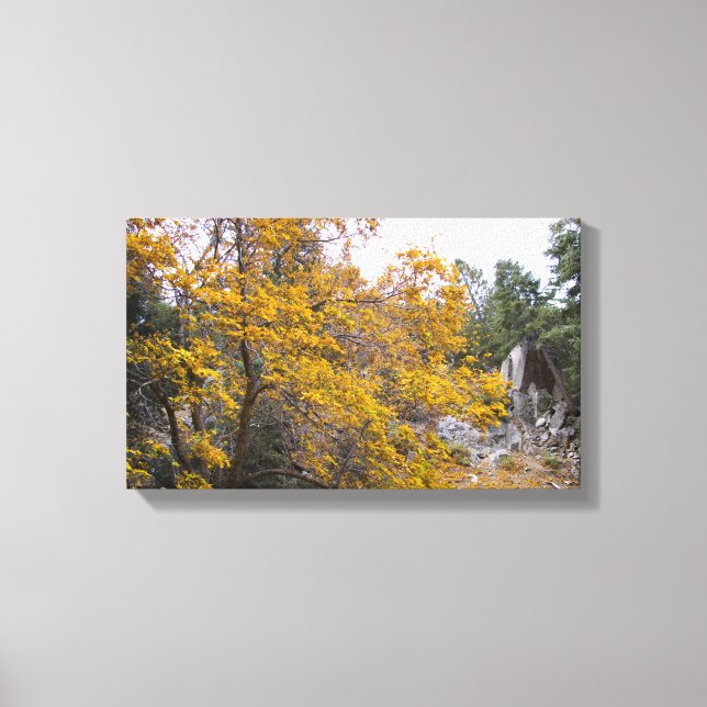 Schöne Herbstfarben Leinwanddruck (Vorderseite)