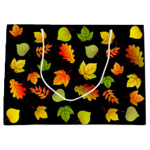 Schöne Herbstgänge auf schwarz