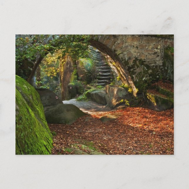 Schöne Herbstlandschaft Postkarte (Vorderseite)