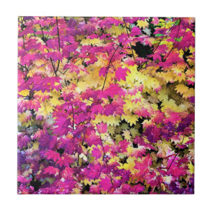 Schöne Herbstlaube Fliese