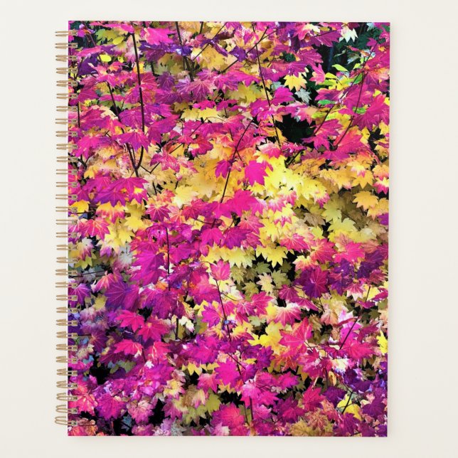 Schöne Herbstlaube Planer (Vorderseite)