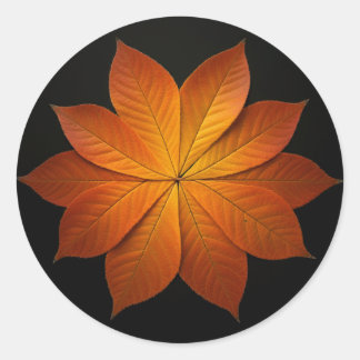 Schöne Herbstlaube Runder Aufkleber