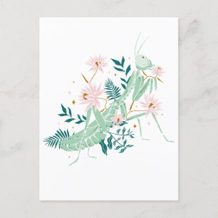 SCHÖNE HEUSCHRECKE POSTKARTE