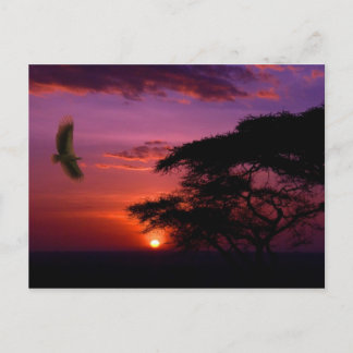 Schöne Himmel auf der Postkarte