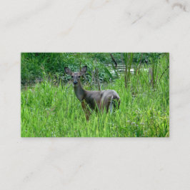 Schöne Hirsch-Visitenkarten Visitenkarte