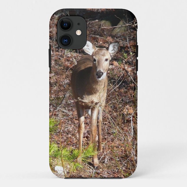 Schöne Hirsche in der Waldnaturfotografie Case-Mate iPhone Hülle (Rückseite)