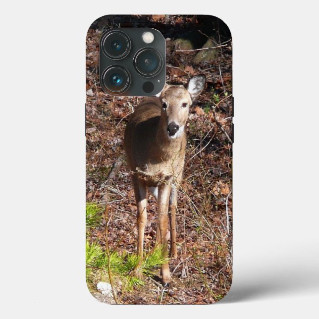 Schöne Hirsche in der Waldnaturfotografie Case-Mate iPhone Hülle (Rückseite)